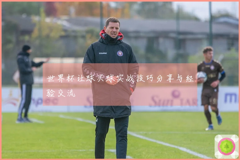 世界杯让球买球实战技巧分享与经验交流