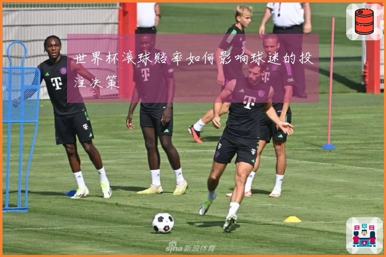 世界杯滚球赔率如何影响球迷的投注决策