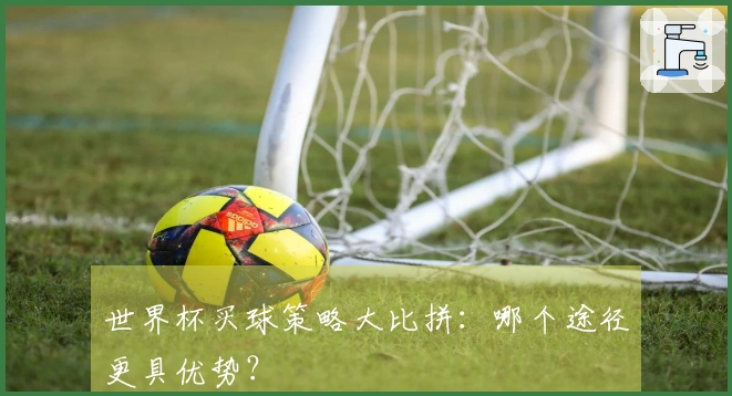 世界杯买球策略大比拼：哪个途径更具优势？