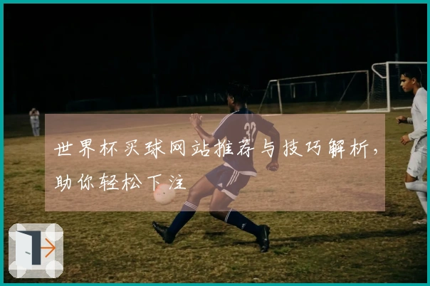 世界杯买球网站推荐与技巧解析，助你轻松下注
