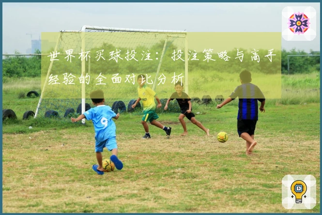 世界杯买球投注：投注策略与高手经验的全面对比分析