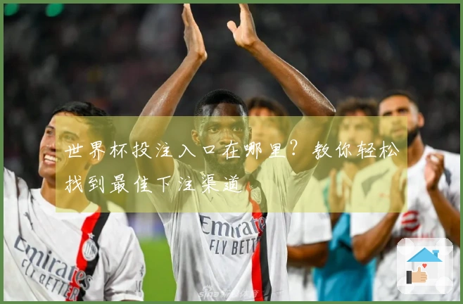世界杯投注入口在哪里？教你轻松找到最佳下注渠道