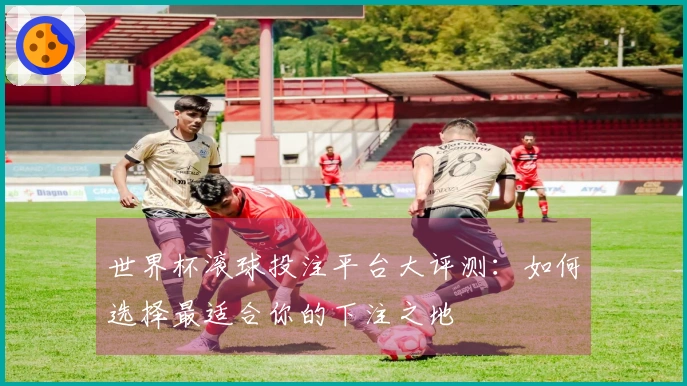 世界杯滚球投注平台大评测：如何选择最适合你的下注之地
