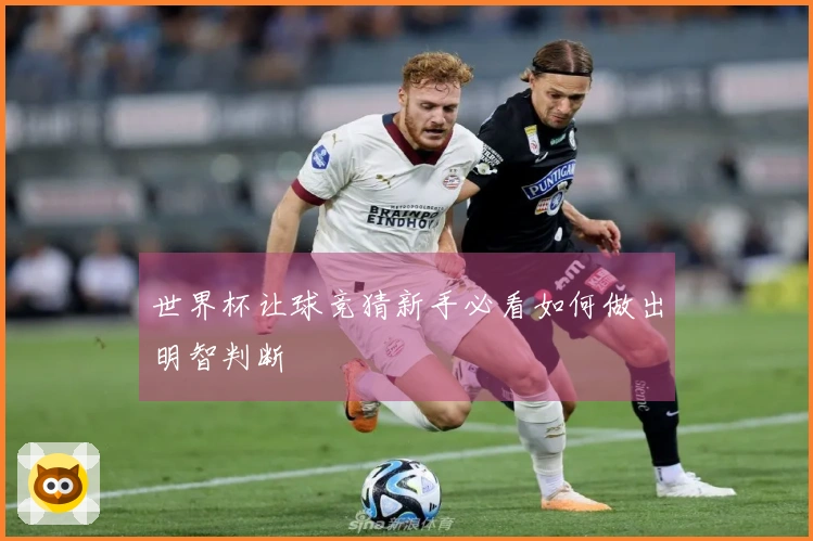 世界杯让球竞猜新手必看如何做出明智判断