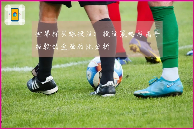世界杯买球投注：投注策略与高手经验的全面对比分析